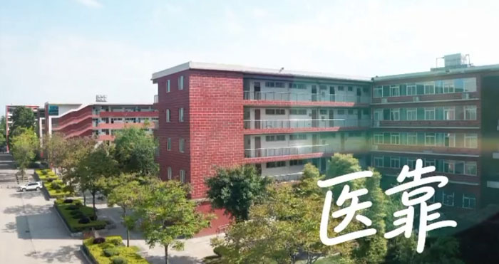 《医靠》